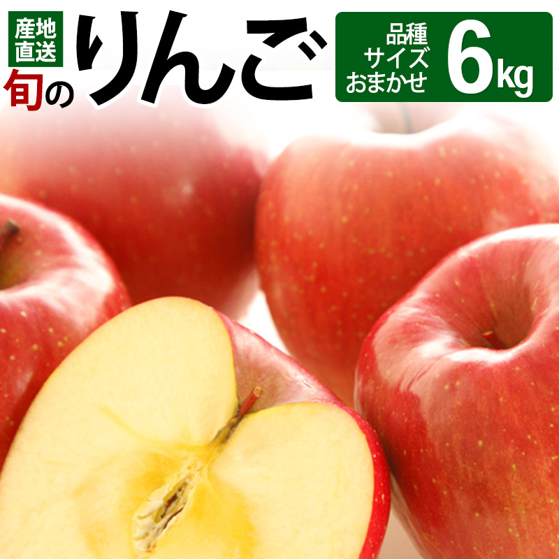 《先行受付》旬のりんご 6kg (品種、サイズおまかせ) 令和5年産 (11〜12月頃発送) ご自宅向け 産地直送 リンゴ 林檎 フルーツ
