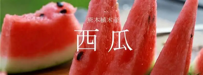 JAPANESE HINATA FRUITS