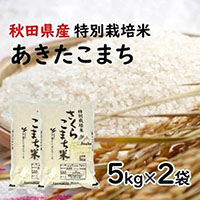 令和3年産あきたこまち「特別栽培米さくらこまち　精米10kg」中仙さくらファーム
