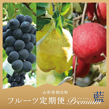 朝日町産フルーツ３種類定期便（ぶどう・洋梨・りんご）プレミアム「藍」コース