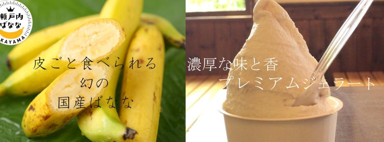 皮ごと食べられる幻の国内ばなな「岡山瀬戸内バナナ」プレミアムジェラート 6カップ