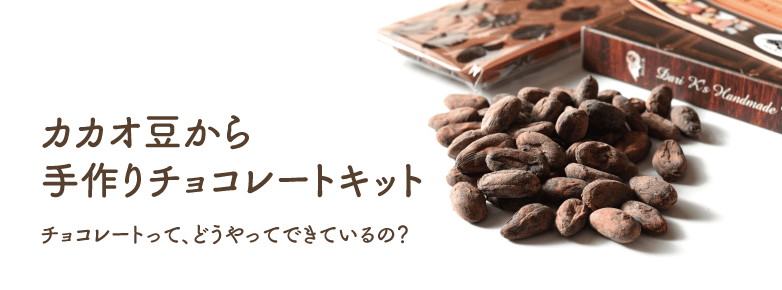 手作りチョコレート・キット（Dari K）