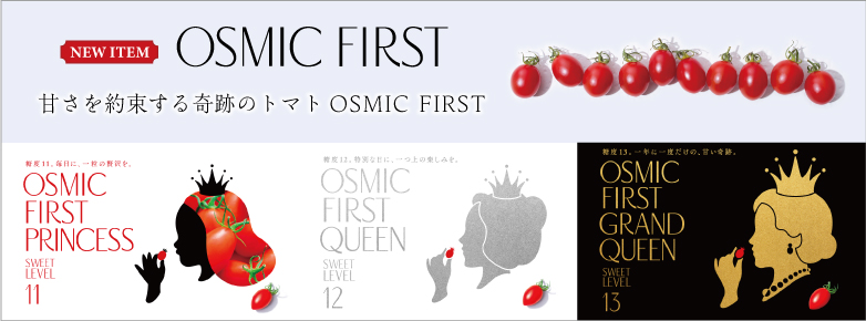 新商品！OSMIC FIRST