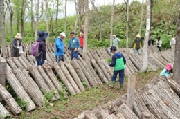 森林資源の維持、保全及び整備に関する事業