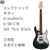 エレクトリックギター G-SN-CTM See Thru Black