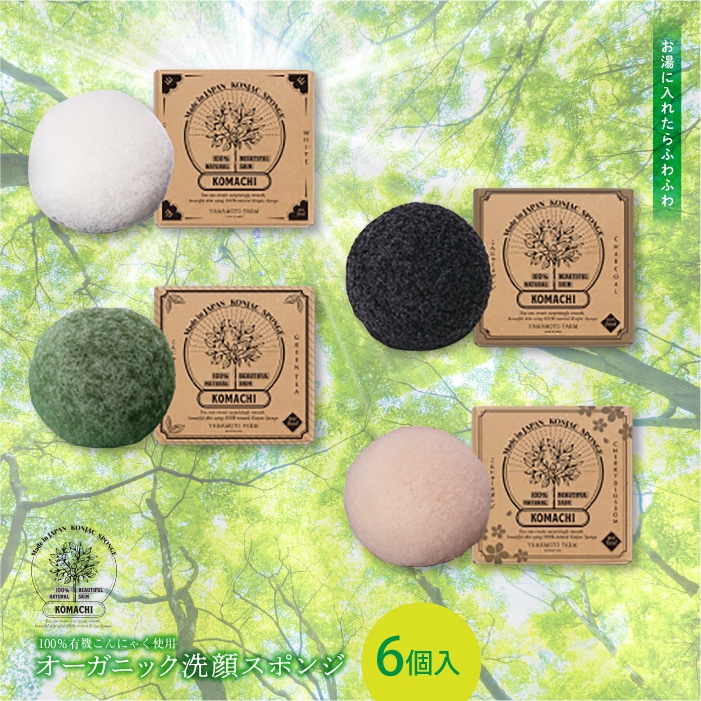 お求めやすく価格改定 Fe 487 ６個入 ふるさと納税 オーガニックこんにゃくスポンジ Tvアニメ Automaxima Com Sg