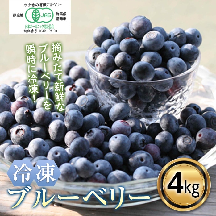 冷凍ブルーベリー4kg　果物