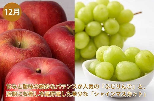 定期便 信州ご褒美フルーツ 夏冬5ヵ月コース 8 12月 22年 先行予約 長野県中野市 Jre Pointが 貯まる 使える Jre Mall