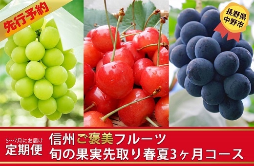 定期便 信州ご褒美フルーツ 旬の果実先取り春夏3ヵ月コース 5 7月 22年 先行予約 長野県中野市 Jre Mallふるさと納税