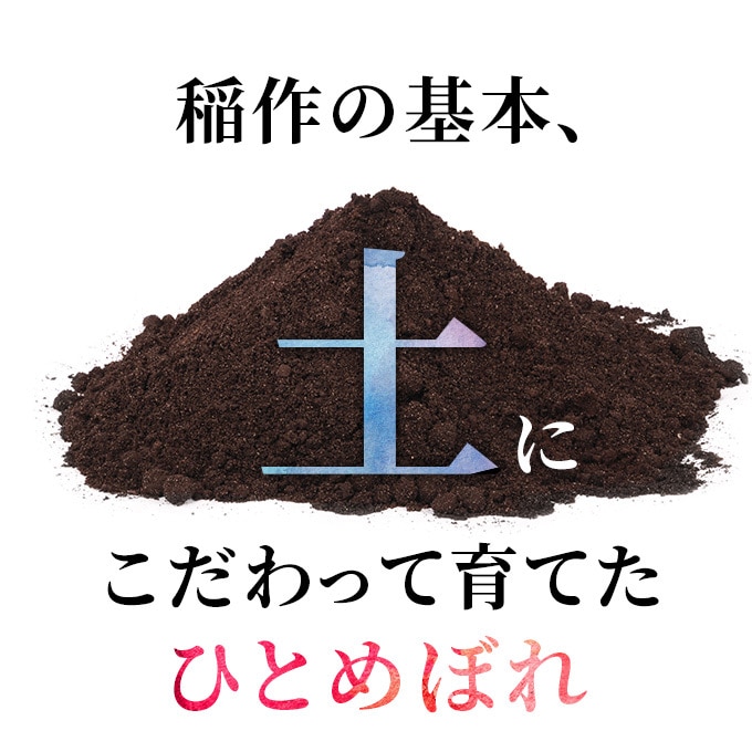 発送時期が選べる 令和3年産 ひとめぼれ 10kg 5kg 2袋 精米 土づくり実証米 12月中旬 下旬頃発送予定 秋田県にかほ市 Jre Pointが 貯まる 使える Jre Mall