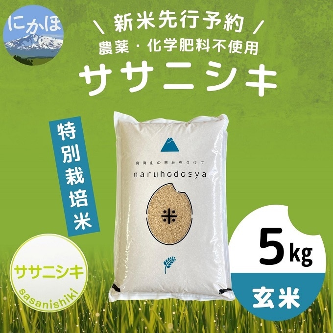 米　ササニシキ玄米　農薬と肥料不使用