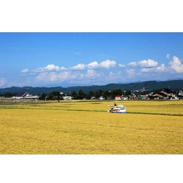 付与 新製品 タイマー付き ナイアガラライト スペシャル 2 5m Wg 1321 クリスマス イルミ イルミネーション 家 イベント 電飾 Sns映え インスタ映え Fucoa Cl