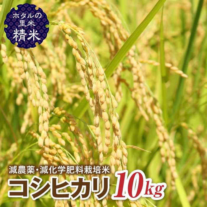 令和4年産【ホタルの里米】環境に配慮し農薬を減らした栽培米 コシヒカリ精米10kg F4D-0235