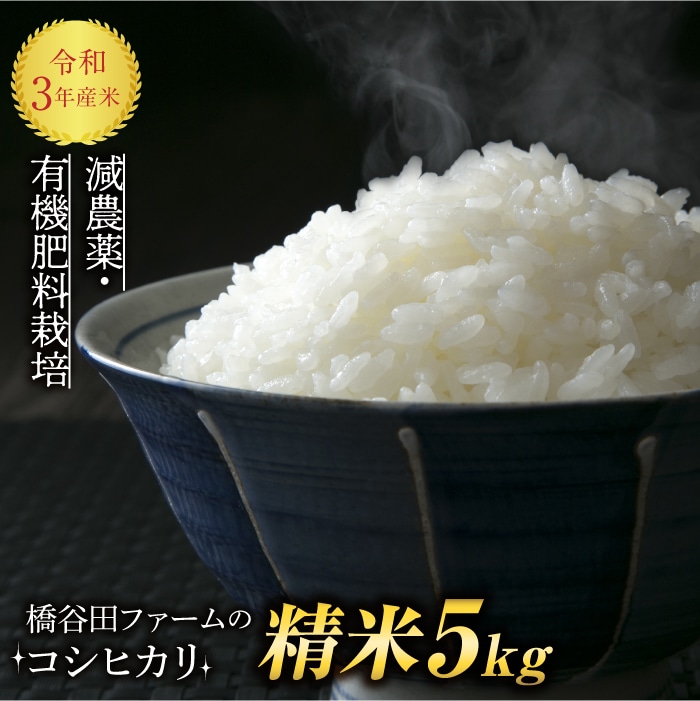 食品/飲料/酒【R2年度古米・玄米】指定有料農地で採れた栃木県産ブランド米コシヒカリ 25kg