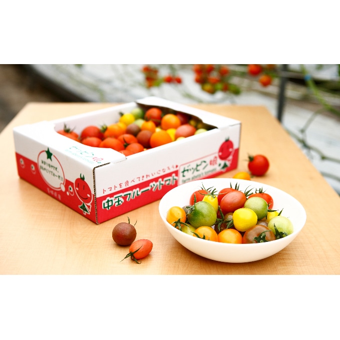 中玉フルーツトマト 900g・カラフルMIXトマト 900g　計1.8kg（1箱）