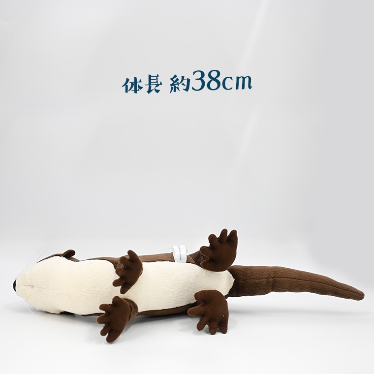 ぬいぐるみ カワウソ アクアワールド 大洗 オリジナル グッズ 茨城 水族館 カナダカワウソ かわうそ 限定 茨城県大洗町 Jre Mallふるさと納税