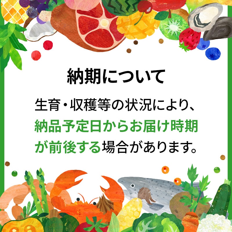 無洗米】秋田県産 あきたこまち 20kg (5kg×4袋) 令和5年産 新米 先行