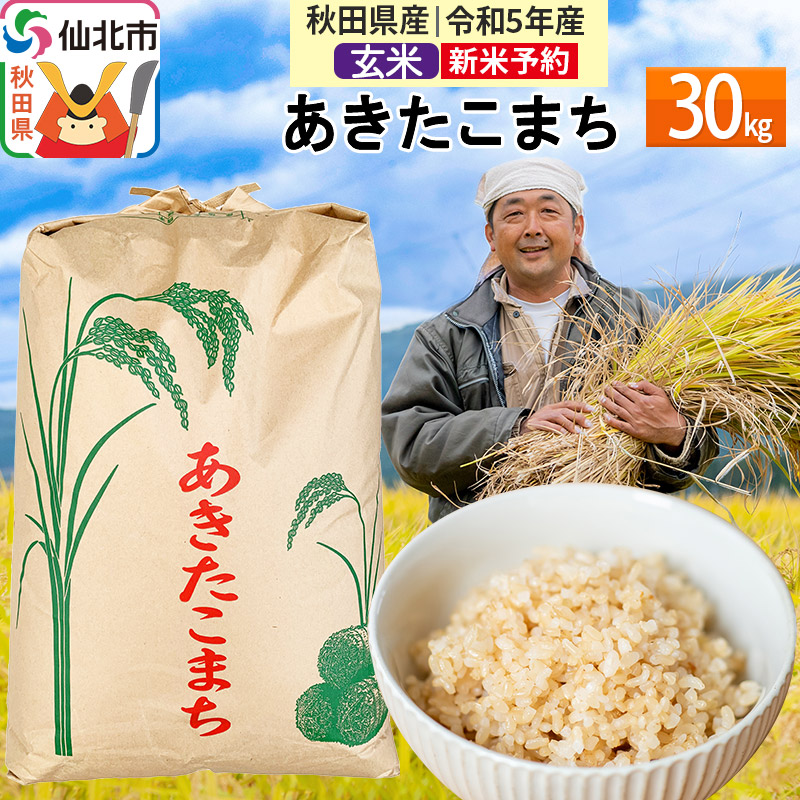 玄米】秋田県産 あきたこまち 30kg 令和4年産 30キロ お米 仙北市