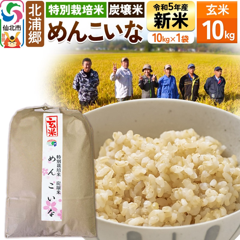 新米【特別栽培米 炭壌米 めんこいな】令和5年産 玄米 10kg (11月上旬より発送開始)