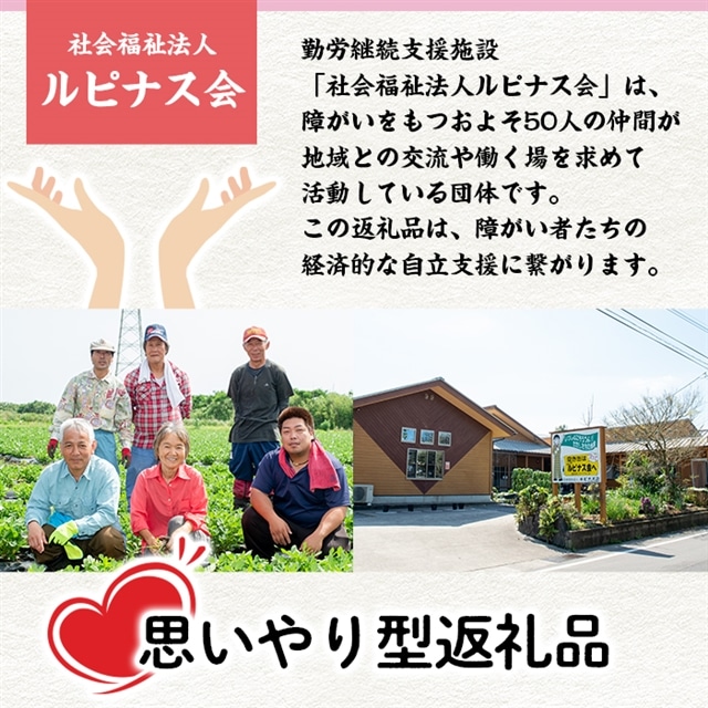 思いやり型返礼品 先行予約受付中 21年8月中旬から順次発送 南高梅の梅干し 1 2kg 自社農園で育てた紫蘇で漬けた梅干し ゆかりの小袋はふりかけなどにご利用ください ルピナス会 鹿児島県東串良町 Jre Pointが 貯まる 使える Jre Mall