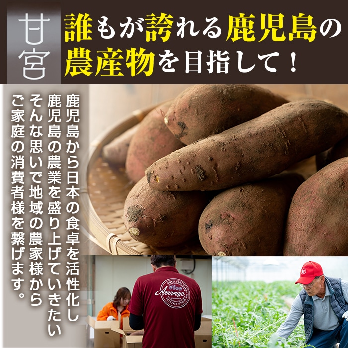 さつまいも 紅はるか チップス 薩摩 さつま芋 ふるさと 名産品 イモ 納税 鹿児島県 芋 お取り寄せ 鹿児島県大崎町 鹿児島 特産品 サツマイモ 焼き芋 ７袋セット 支援 いも ご当地グルメ お菓子 べにはるか 詰め合わせ ご当地 大崎 大崎町
