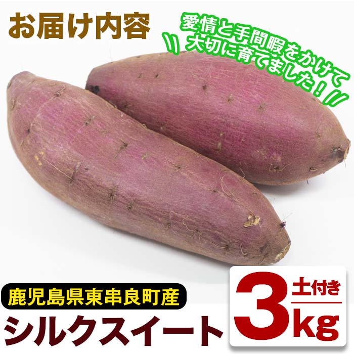 期間限定 年12月5日から21年3月31日の間で発送予定 鹿児島県東串良町産 上質絹甘芋シルクスイート約5kg 甘宮 鹿児島県東串良町 Jre Pointが 貯まる 使える Jre Mall