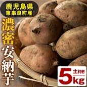 【12998】鹿児島県東串良町産！濃密安納芋(5kg)【甘宮】