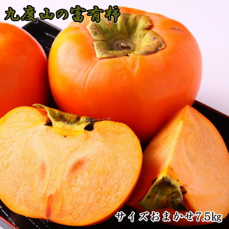 ZD6331_[柿の名産地]和歌山の 富有柿 約7.5kg サイズおまかせ: 和歌山県湯浅町｜JRE MALLふるさと納税