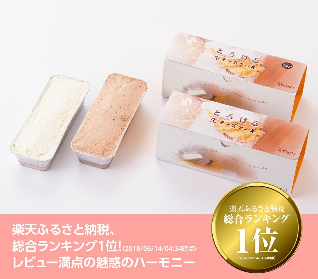 押川春月堂本店 とろける生チーズケーキセット プレーン チョコ 宮崎県川南町 Jre Pointが 貯まる 使える Jre Mall