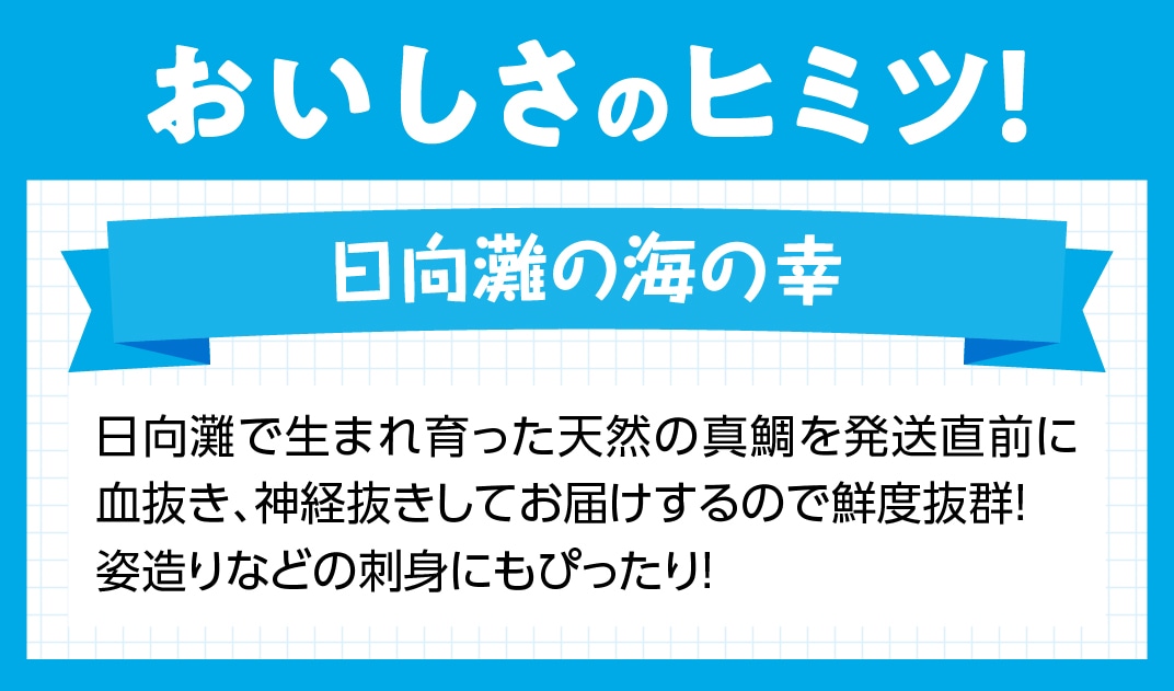 日向灘の海の幸 天然真鯛 活き締め 宮崎県川南町 Jre Pointが 貯まる 使える Jre Mall