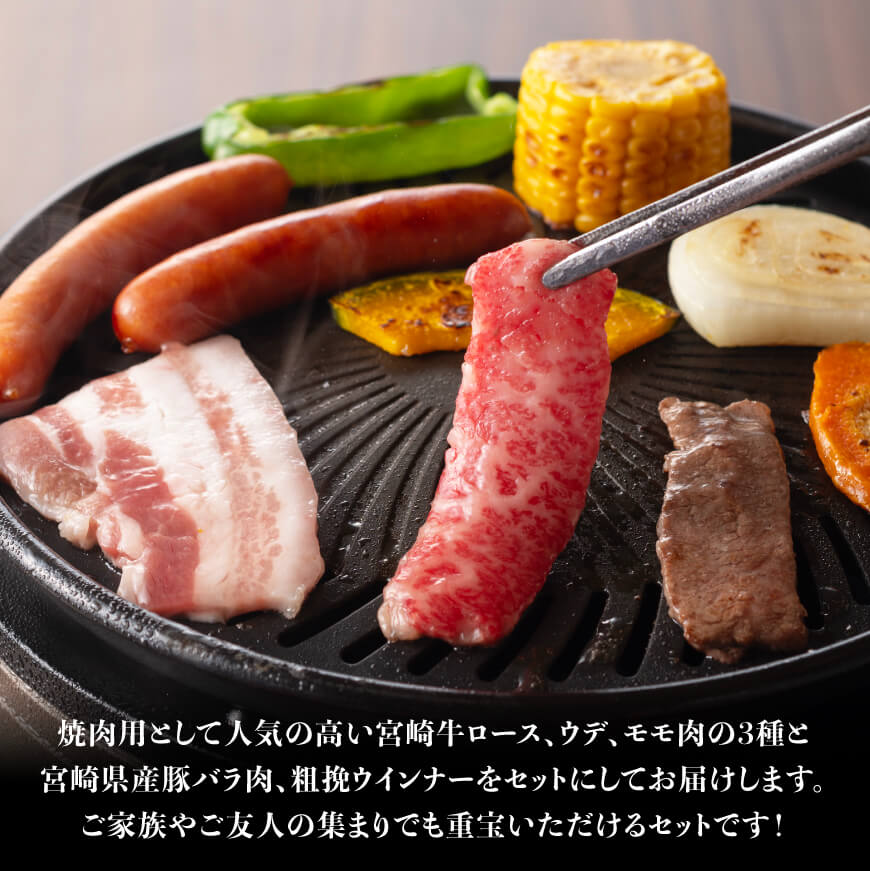 アウトレット ふるさと納税 川南町 宮崎県産豚肉6種 4.1kg