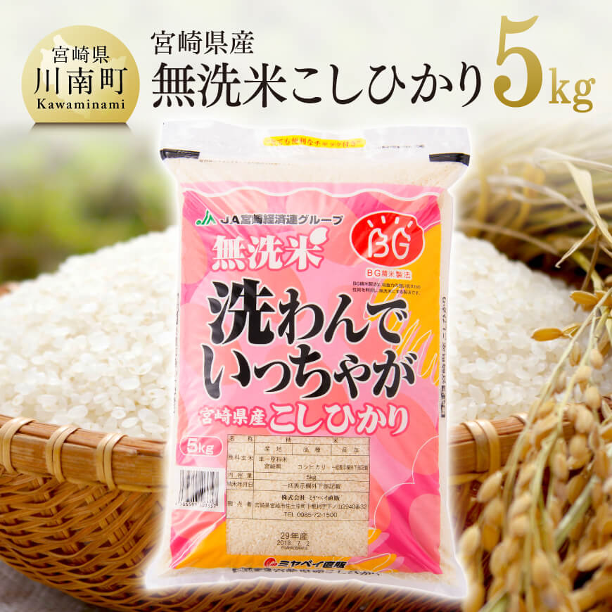 【令和5年産】早場米宮崎県産無洗米こしひかり5kg　米 お米 新米