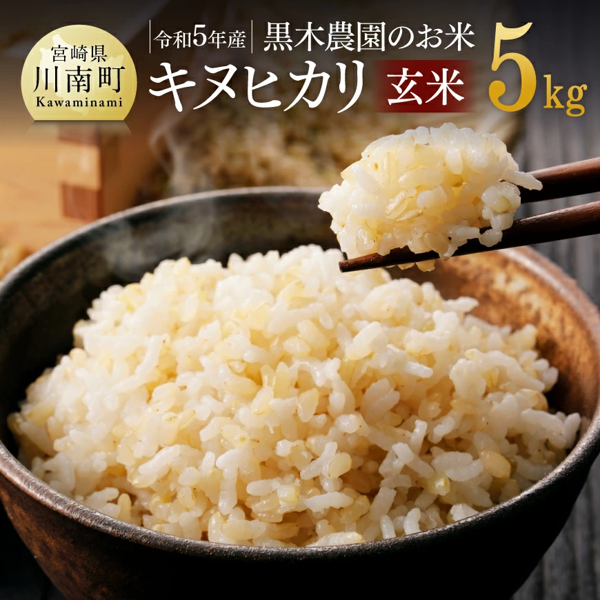 【令和5年産】黒木さんちのお米「キヌヒカリ(玄米)」5kg　米 お米 玄米