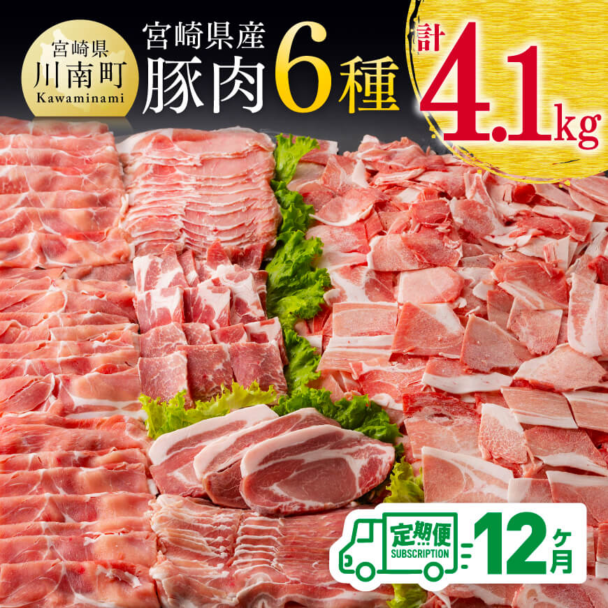 【12ヶ月定期便】宮崎県産豚肉６種　豚肉