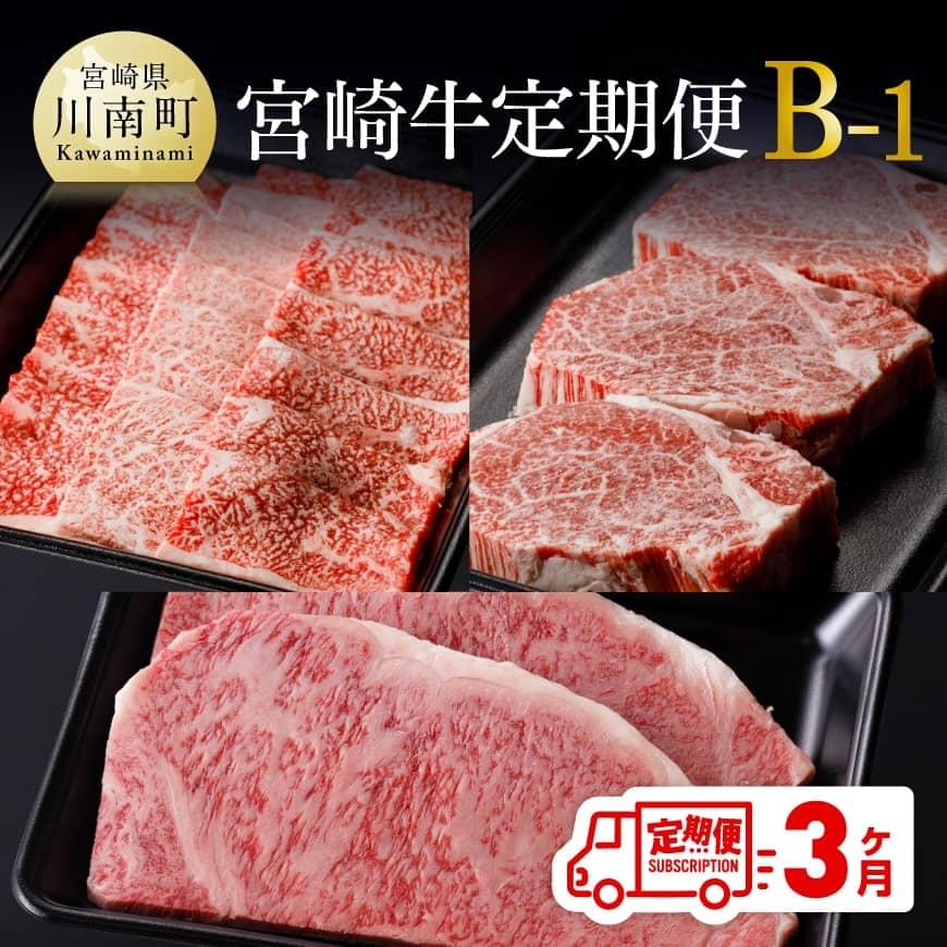 【定期便】宮崎牛３ヶ月定期便Ｂ‐１　牛肉
