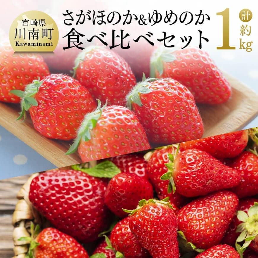 【令和5年発送】宮崎県産いちご「さがほのか＆ゆめのか」食べ比べセット270ｇ×4パック　いちご イチゴ 苺