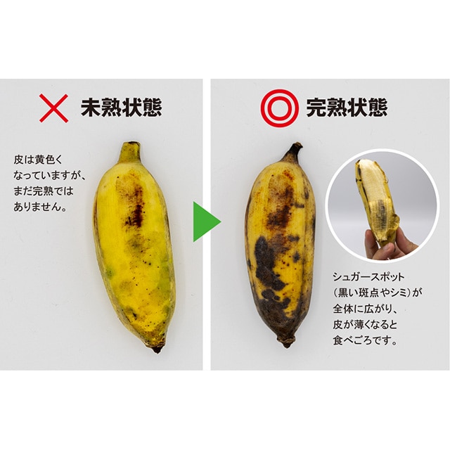 沖縄県産 無農薬アップルバナナ 大容量10キロ フルーツ・果実