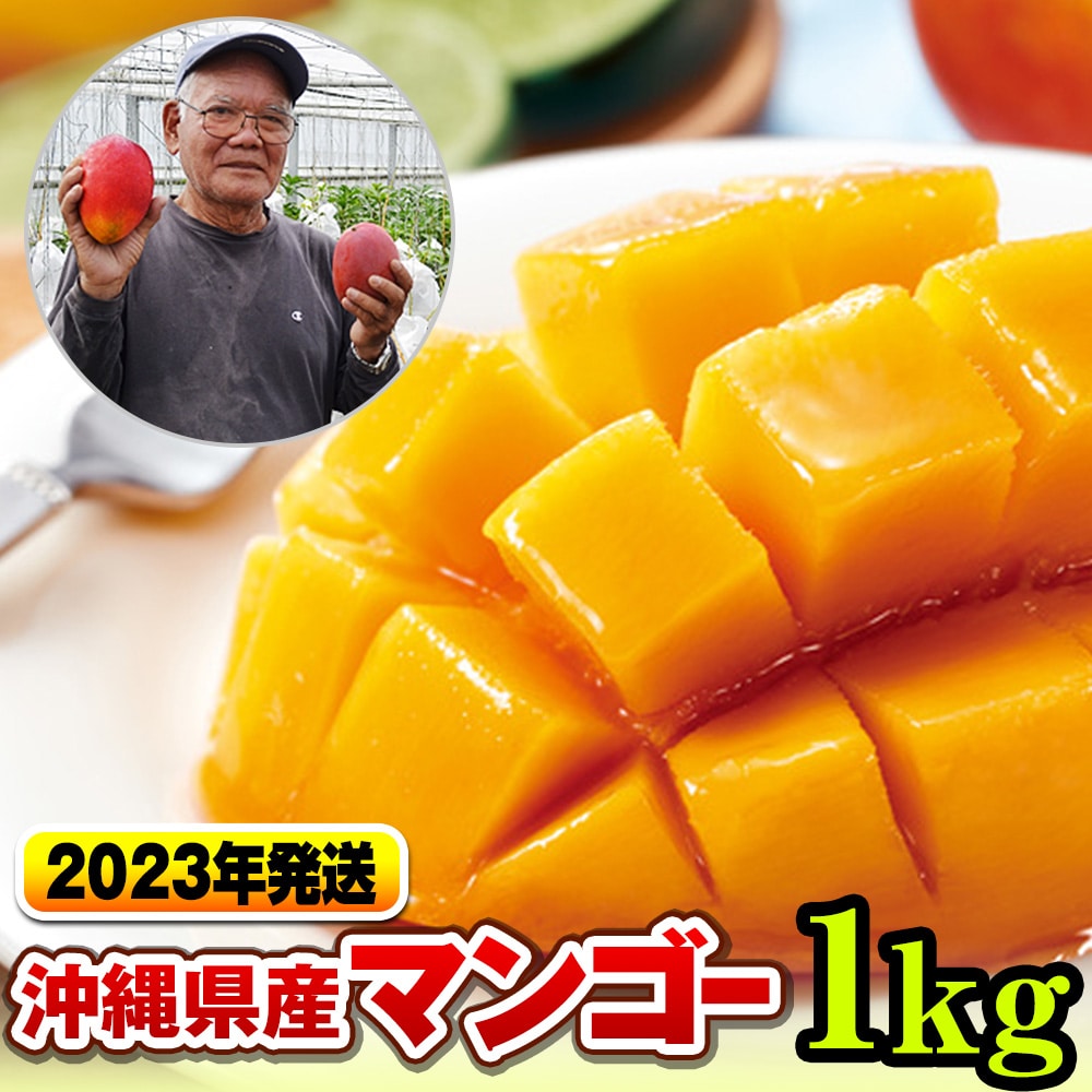 23年発送 濃厚な甘さ とろける食感 沖縄県産マンゴー1kg 沖縄県南風原町 Jre Mallふるさと納税