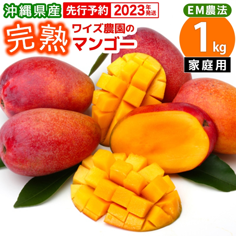 沖縄　宮古島産　完熟マンゴー1kg ×4、2kg\n家庭用（訳あり）