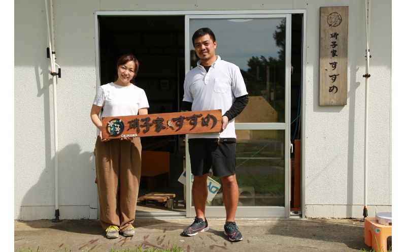 琉球ガラス工房 硝子家すずめ】吊り下げランプ(オーロラ): 沖縄県
