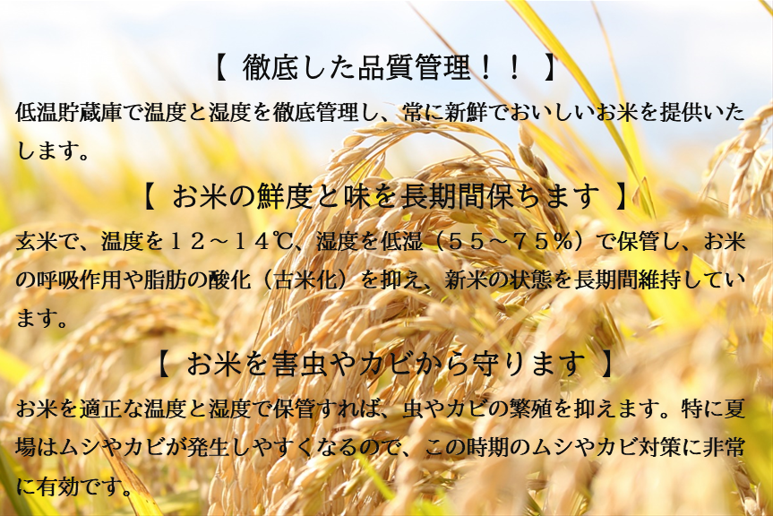 【人気品種】令和3年産　コシヒカリ10�s（5�s×2）