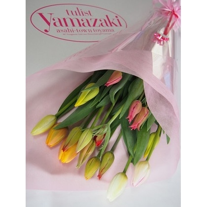 チューリップ切り花 本 富山 朝日町 生花 花束 富山県朝日町 Jre Pointが 貯まる 使える Jre Mall