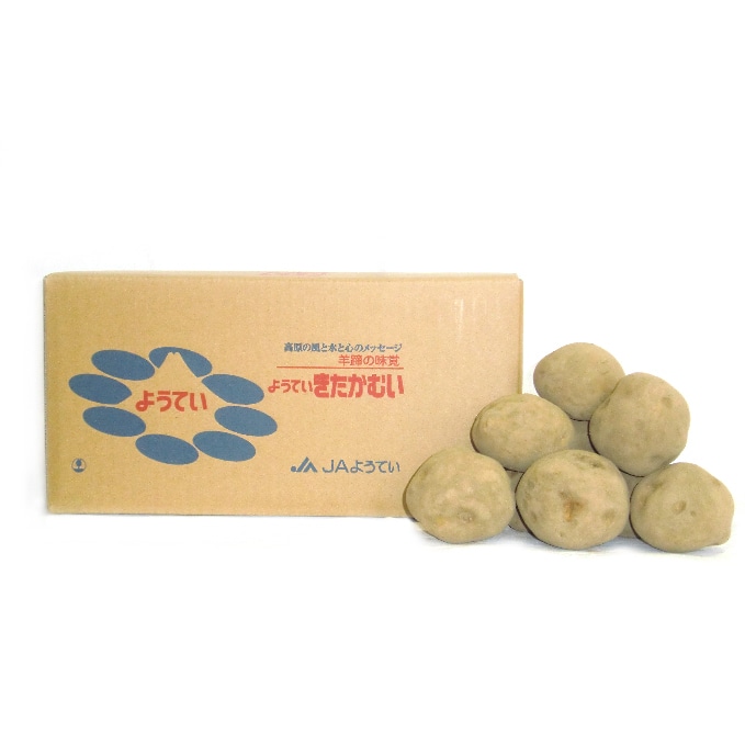 ようていじゃがいも きたかむい Lサイズ10kg 北海道ようてい産 北海道倶知安町 Jre Pointが 貯まる 使える Jre Mall