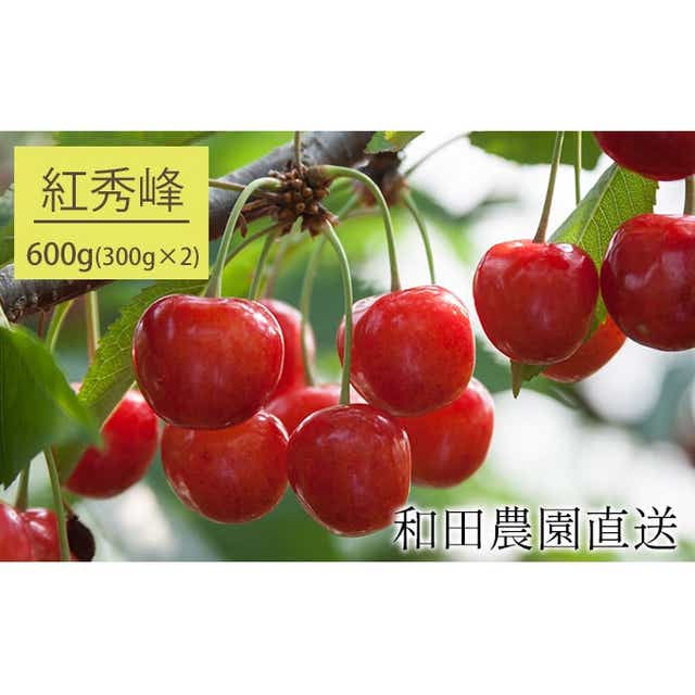 和田農園のさくらんぼ 紅秀峰 600g 北海道仁木町産 北海道仁木町 Jre Pointが 貯まる 使える Jre Mall 和田農園のさくらんぼ 紅秀峰 600g 北海道仁木町産 北海道仁木町 Jre Pointが 貯まる 使える Jre Mall
