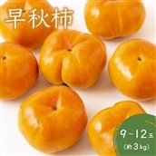 西見柿農園 早秋柿 9〜12玉 (約3kg)