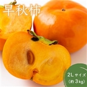渡辺農園 早秋柿 2Lサイズ (約3kg)