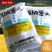 【新米予約】うきは市姫治産限定「夢つくし清流米」玄米10kg