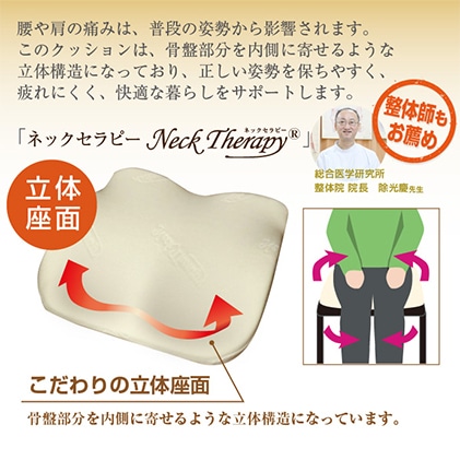 整体師の先生がお勧めするお尻フィットクッション 配送不可 北海道 沖縄 離島 静岡県菊川市 Jre Pointが 貯まる 使える Jre Mall