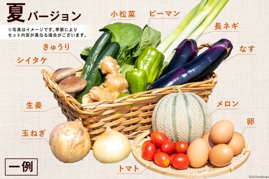 JR東日本が運営【JRE　野菜・フルーツ・卵　MALLふるさと納税】　旬のお任せ　Aセットの返礼品詳細