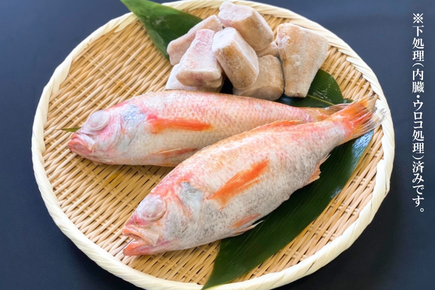 のどぐろ 大サイズ 0 250g 4尾 煮付け 塩焼き用 長崎県島原市 Jre Pointが 貯まる 使える Jre Mall